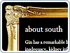 South Gin