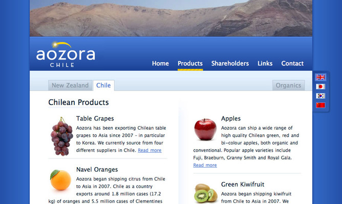 Website image