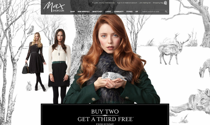 Website image