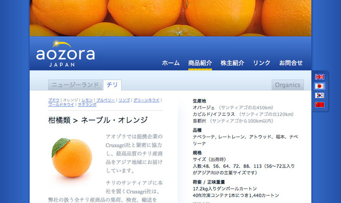 Website image